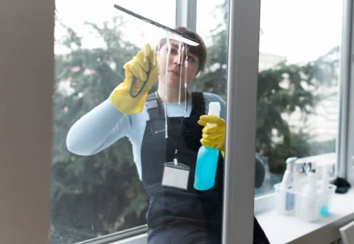 Nettoyage de vitres intérieures et extérieures à Thuret